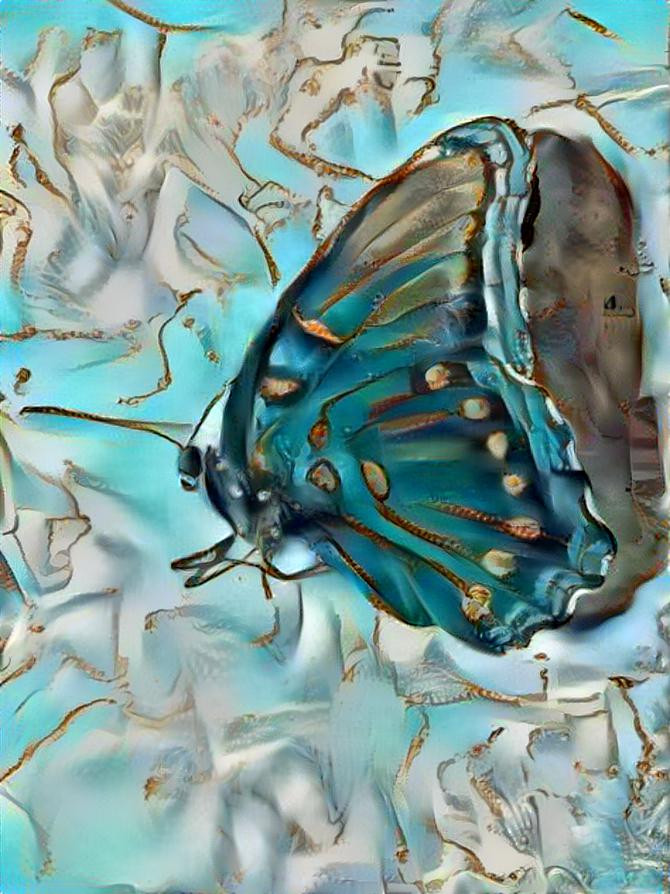 A 14kw Butterfly