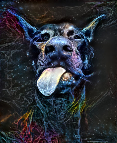 Acid dog