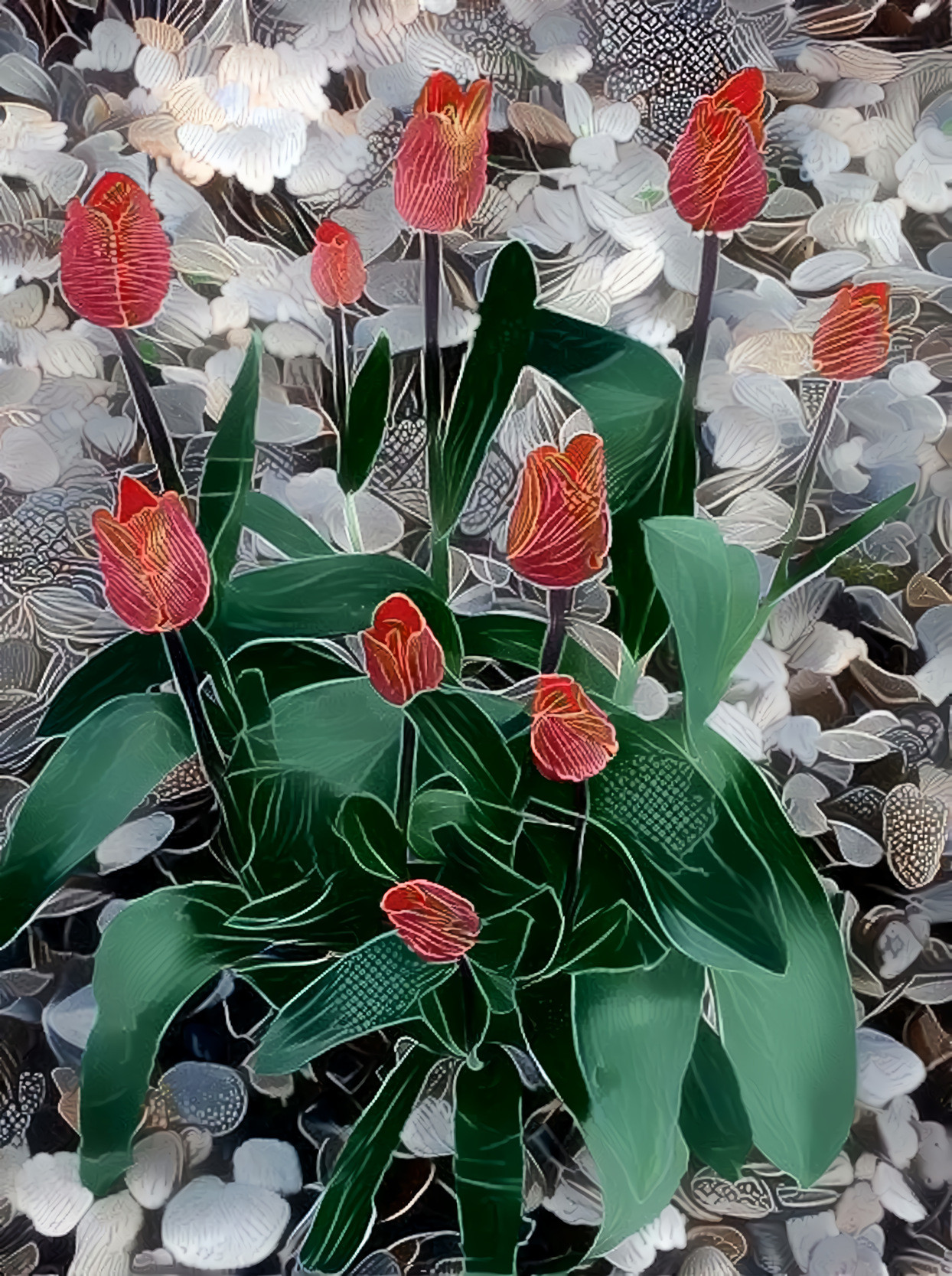 Rick's Tulips