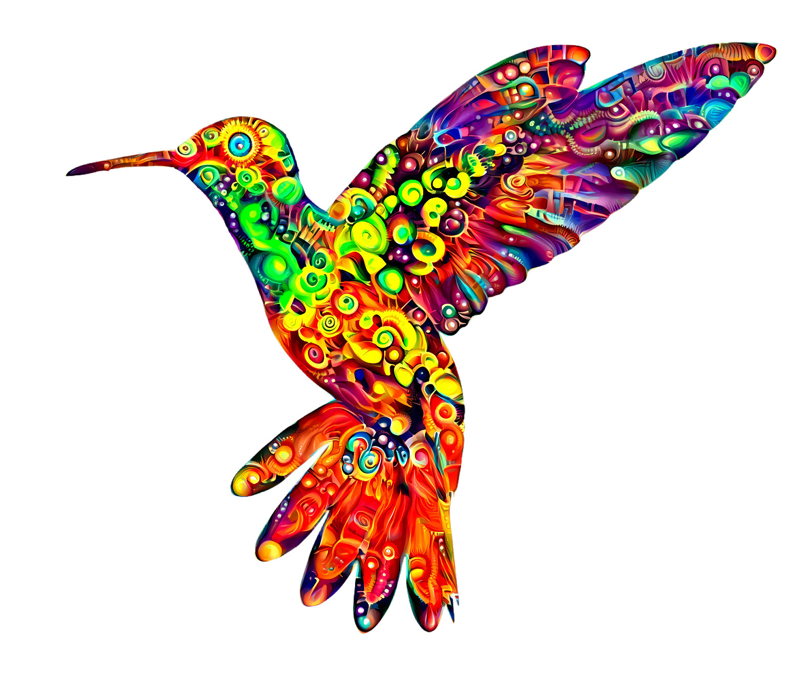 Colorful Colibri