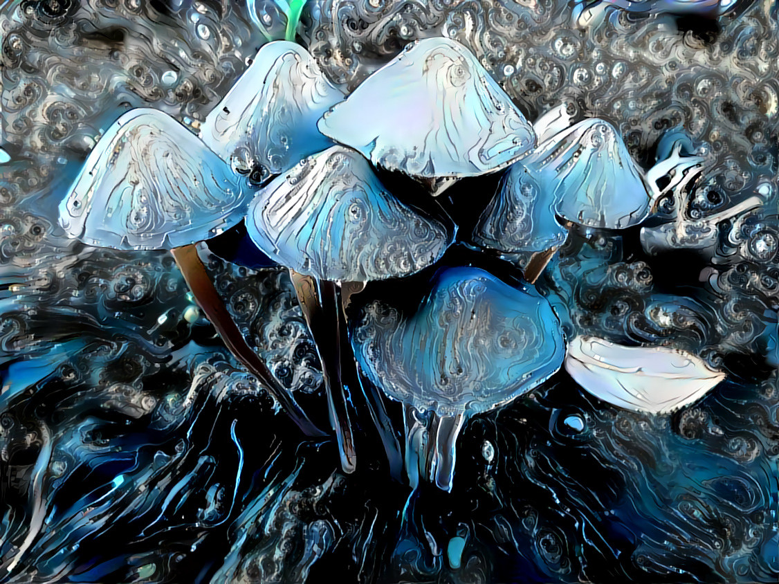 Mushrooms 9 frax 396