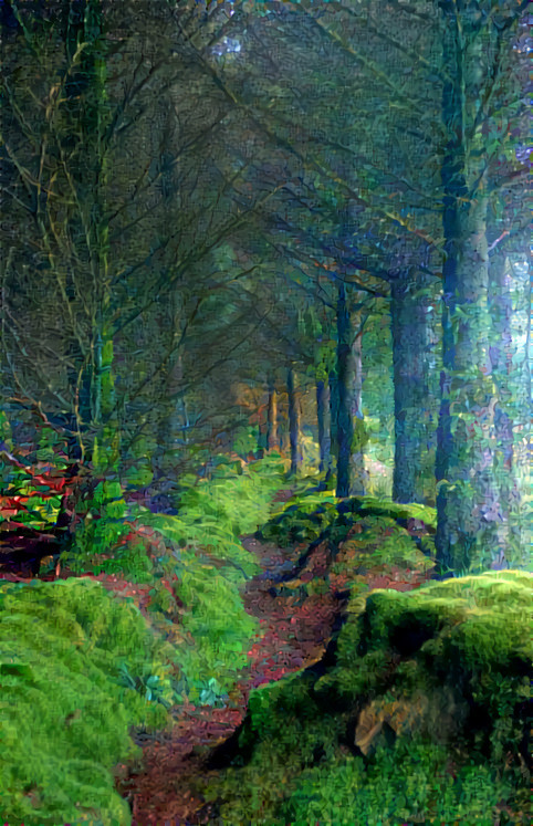Enchanting forest