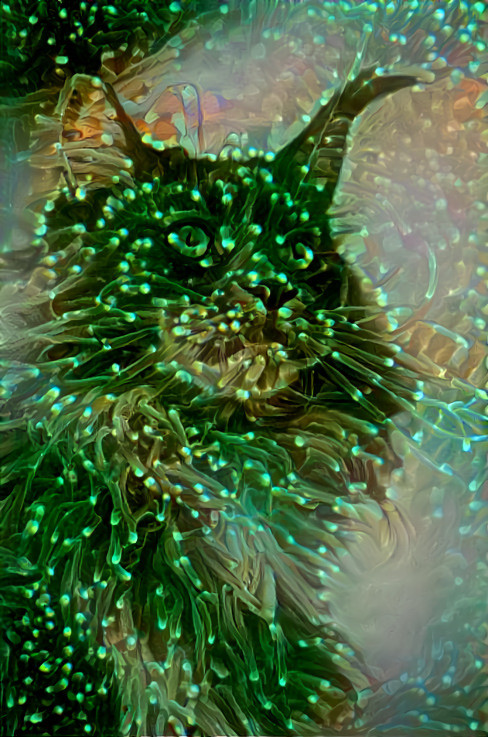 cat plant, green, translucent, glow