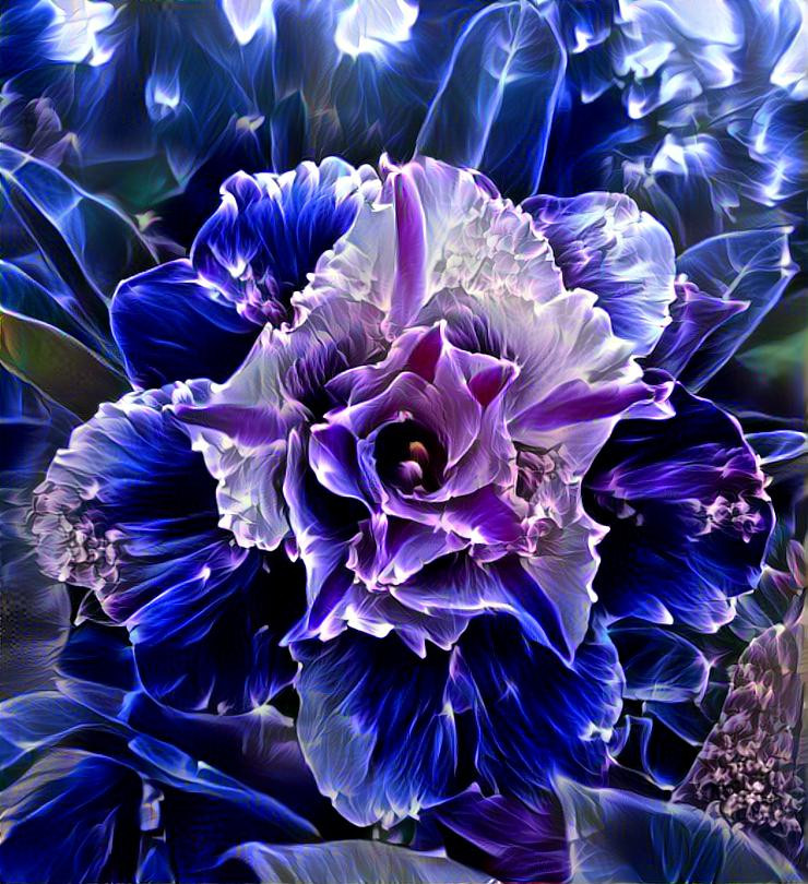 Flower and blue spiral