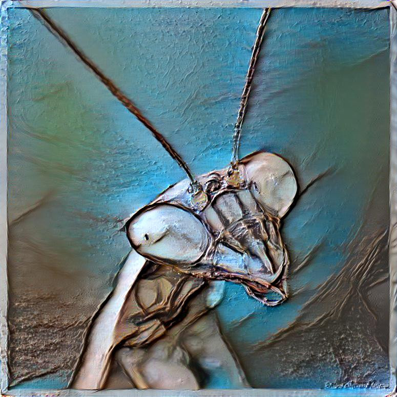 Mantis Portrait
