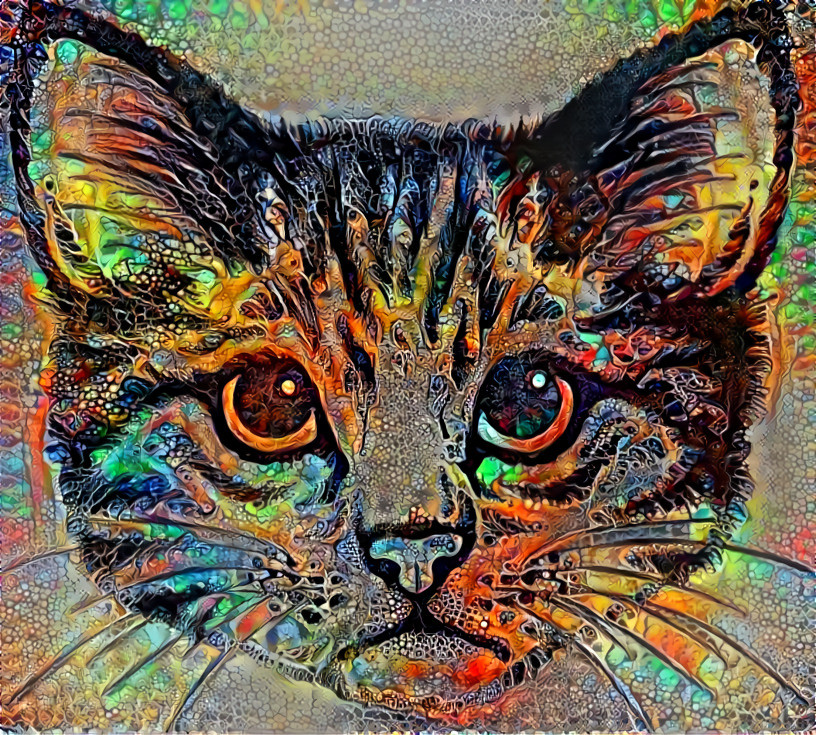 Psychedelic cat 1