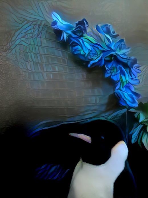 Shardy Penguin Flowers