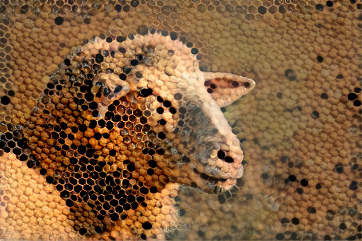 Abstract Beehive Sheep