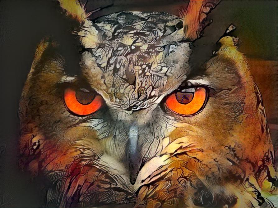 ~ Great Horned Owl ~