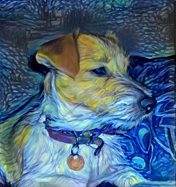 Starry Night Doggo