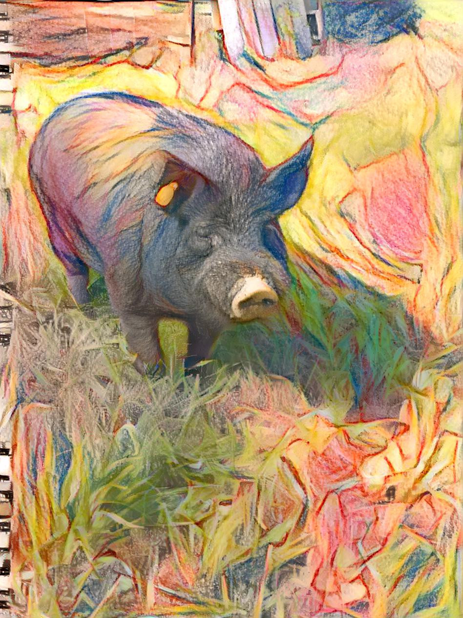 Crayon Pig