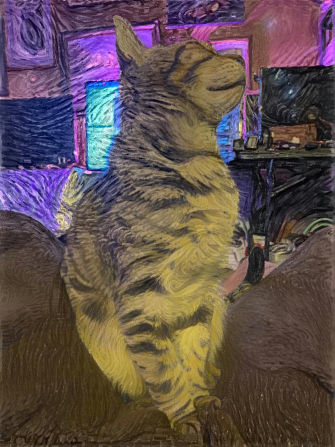Gypsy Cat