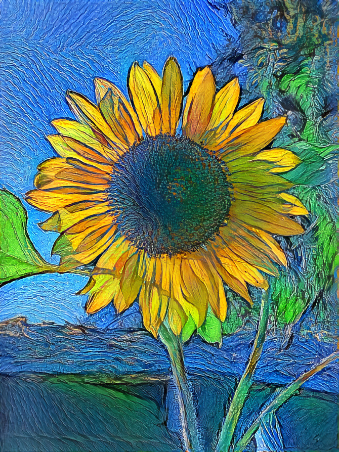 I had to - volunteer sunflower w/sunflower filter