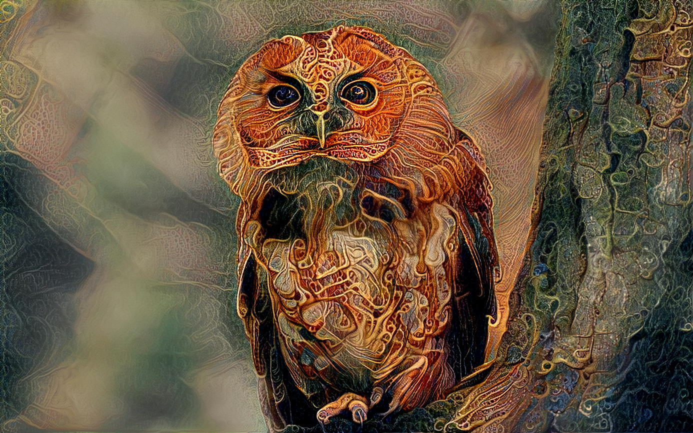 Fractal Owl