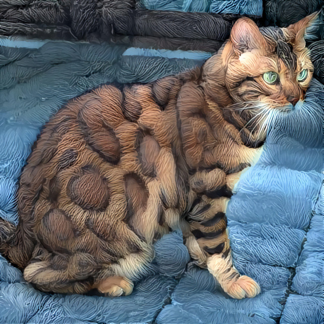 Quilted Cat