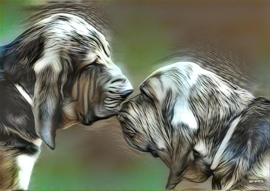 Vondracek & Mary- my bloodhounds