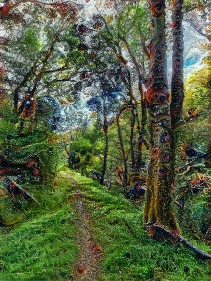 Trip through a forest