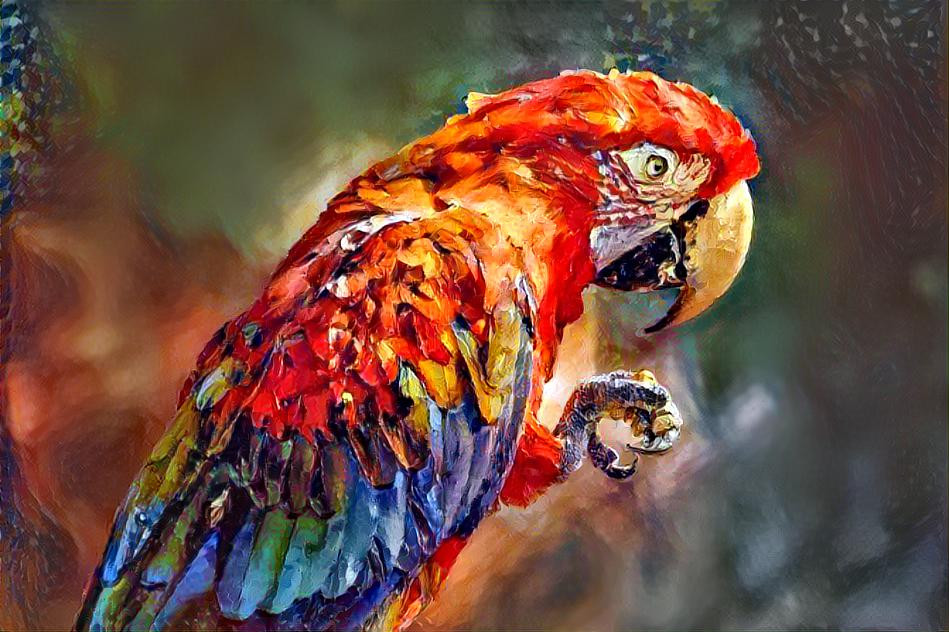 South American Macaw Parrot