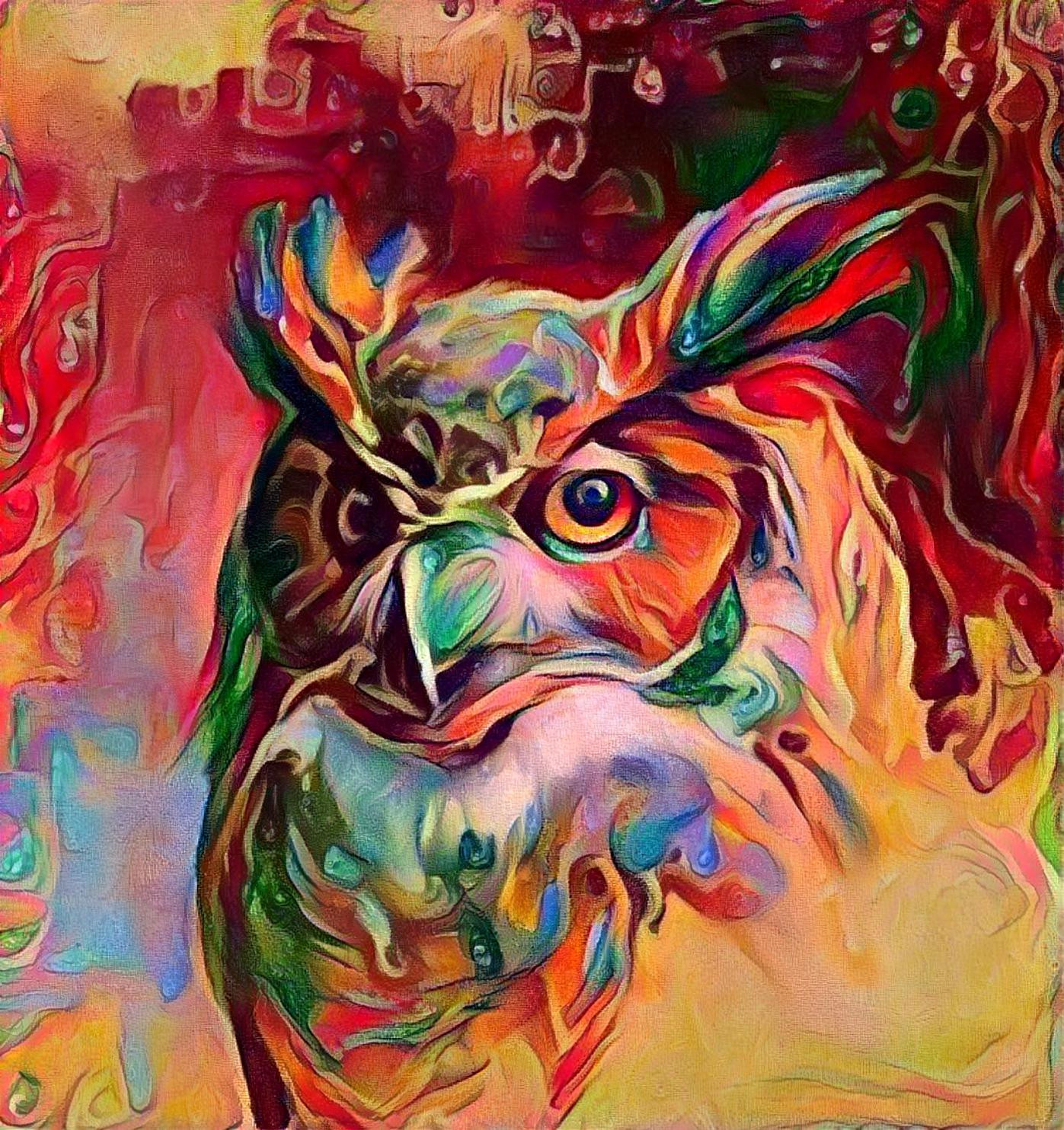 Bright Owl ❣️