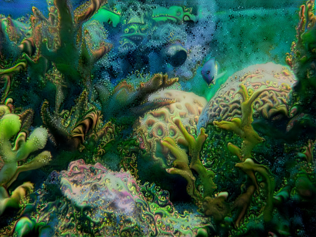 Under water world 