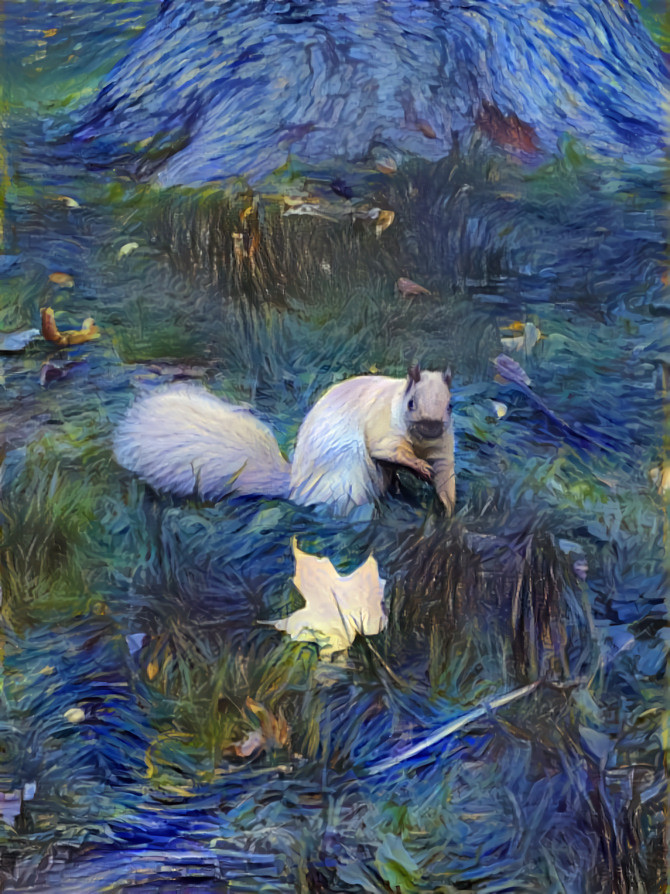 Starry night squirrel