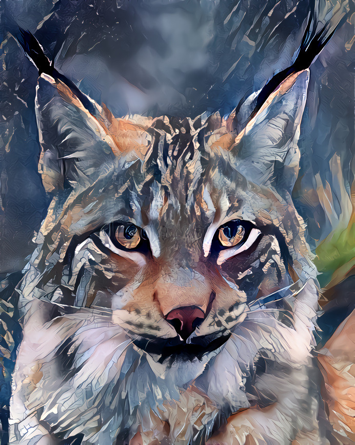 Lynx3 