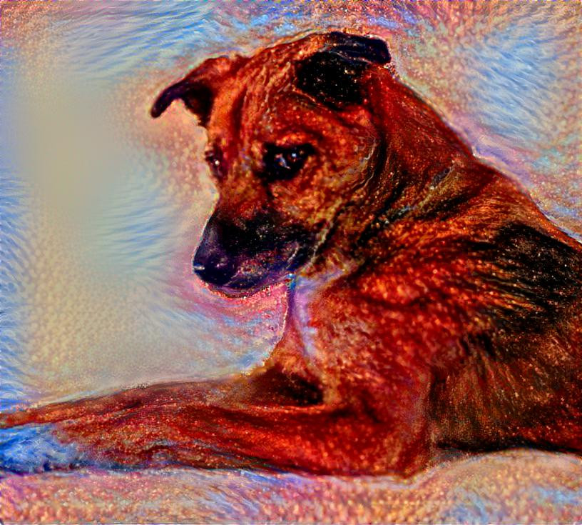 Portrait of a Dog, v5