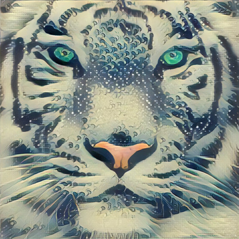  Mystic face of a White Tiger