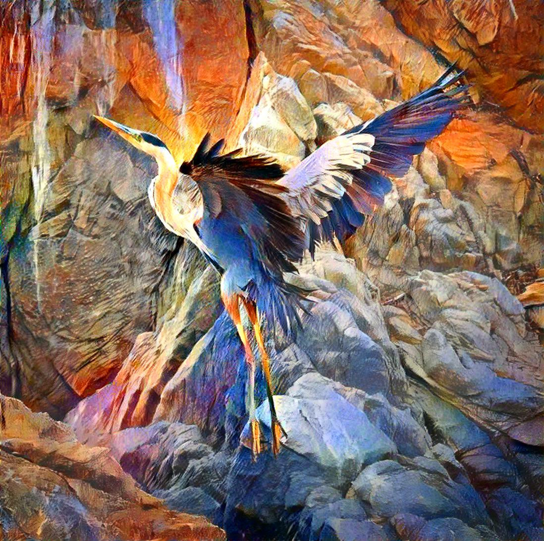 Heron Rising