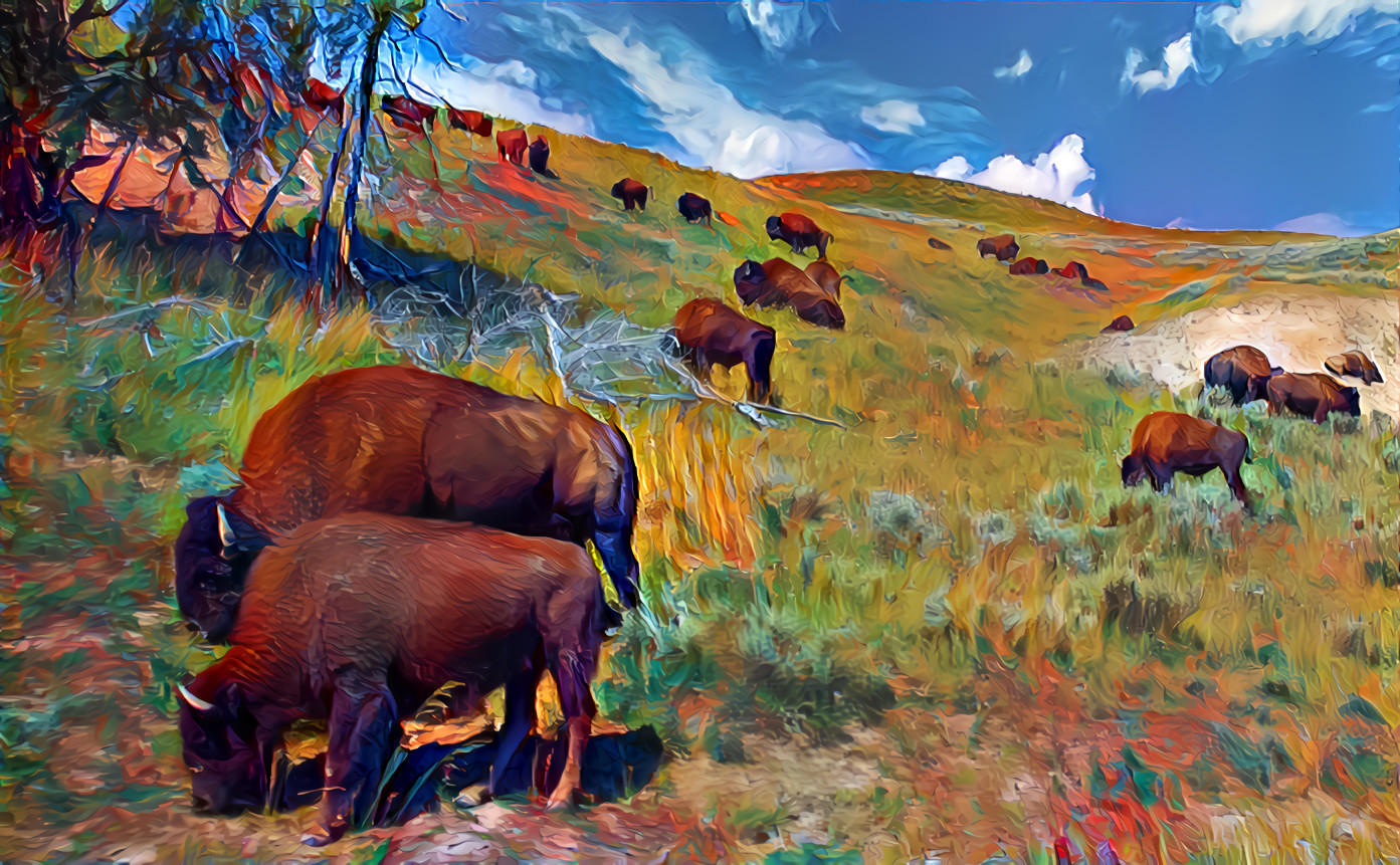 Bison on a hillside meadow