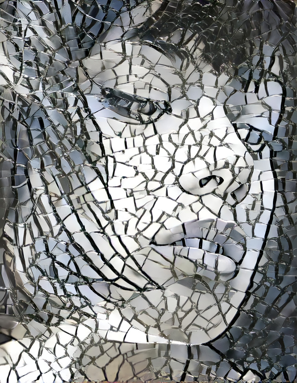 Women’s Face, Shattered Mirror