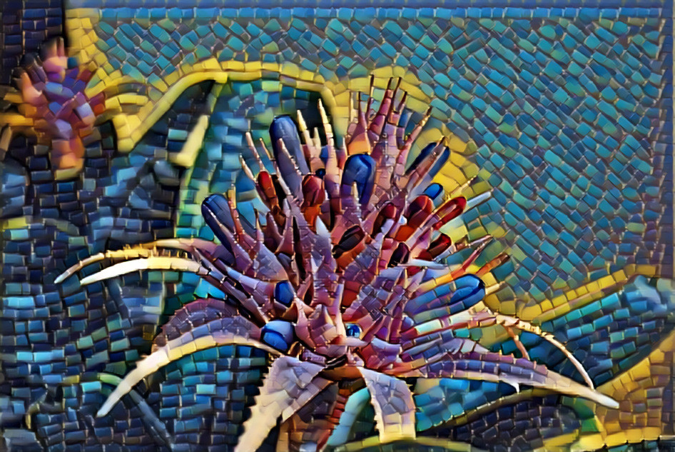 Bromeliad in tiles