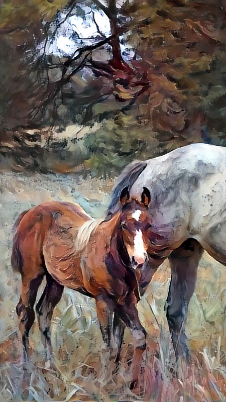 Foal with Mom