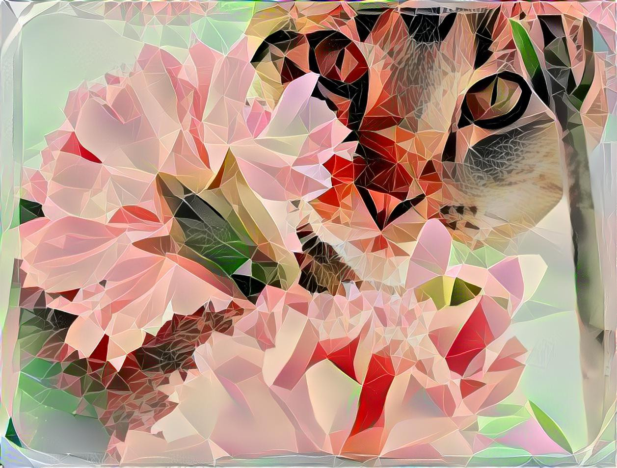 Pretty flowers, pretty kitty