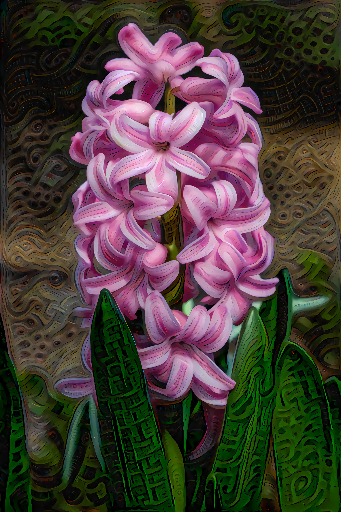 Striking Hyacinths