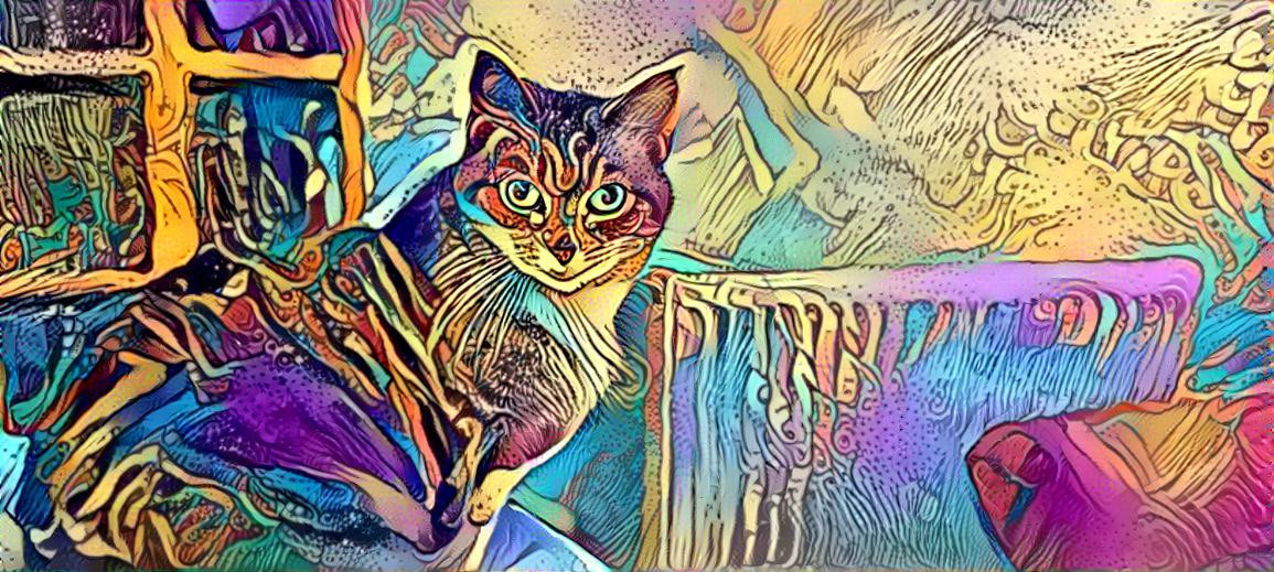 Colourful kitty (Noodles T Cat)