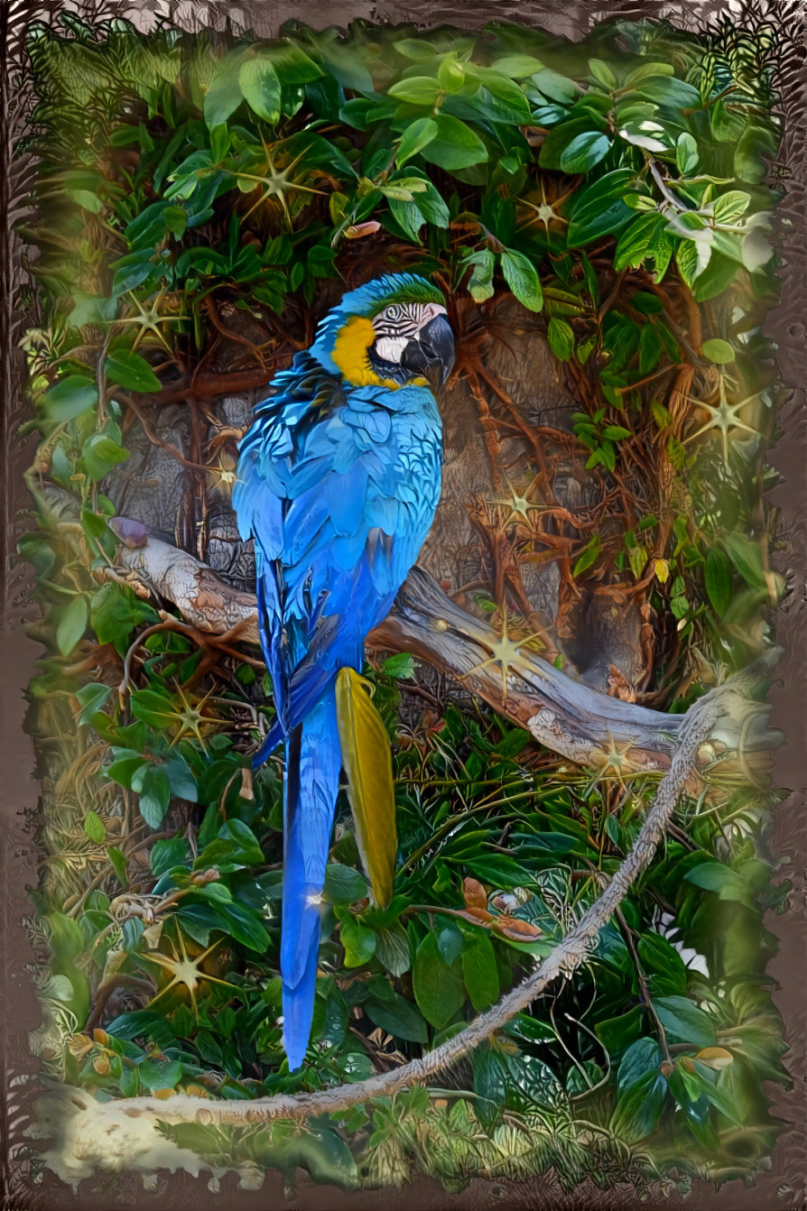 Blue Macaw ( Photography by me, Rousseau style ).