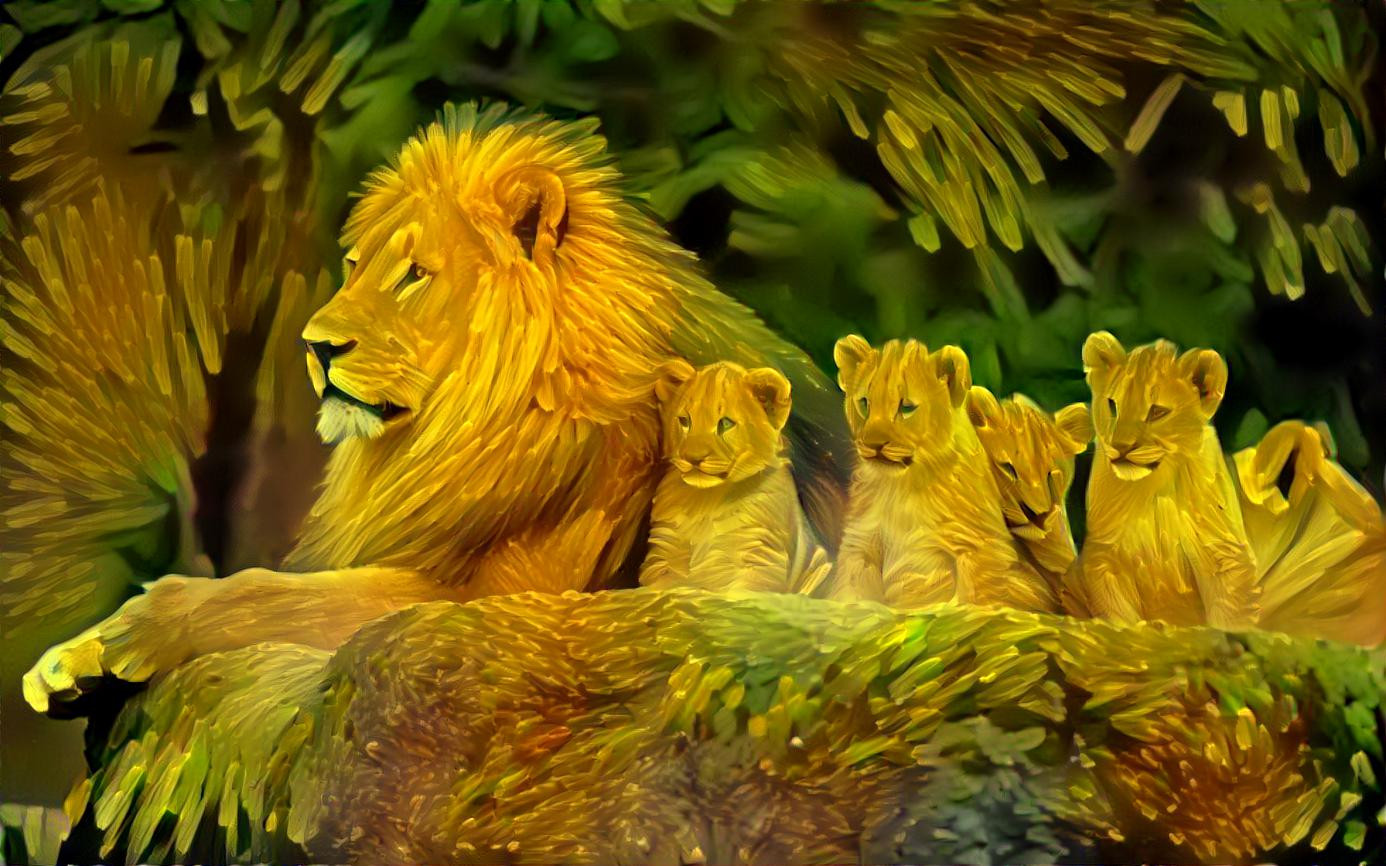 Lion Family [1.2MP]
