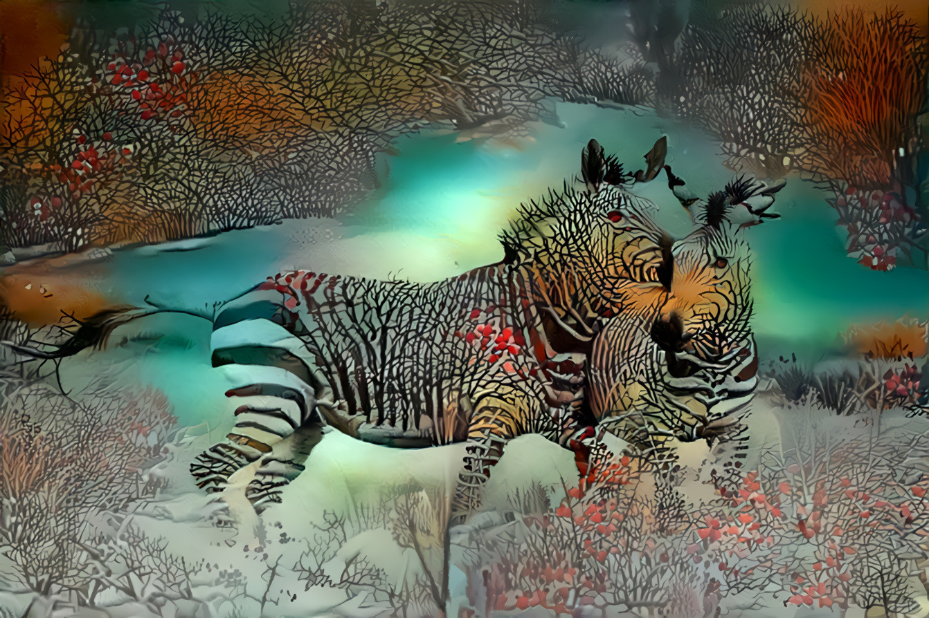 Enchanted Zebras