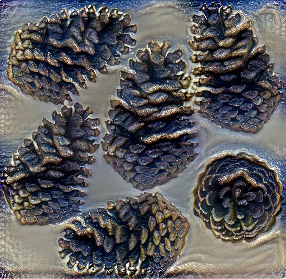 Assorted pine cones