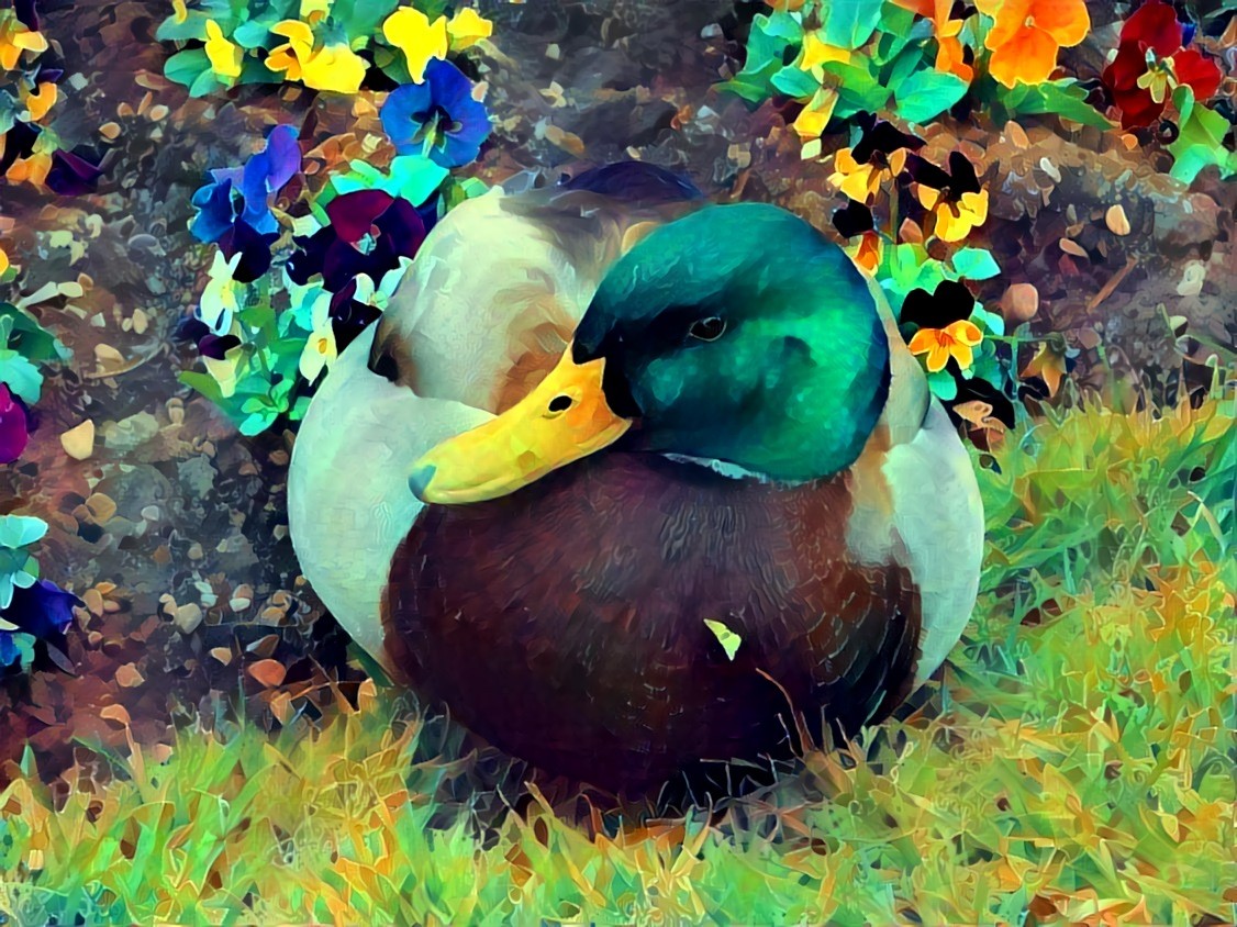 Ducks 2 swirl fractal_3
