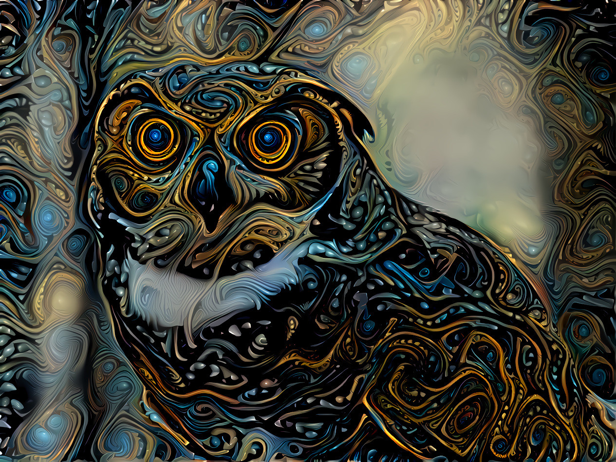 Owl [1.2MP]