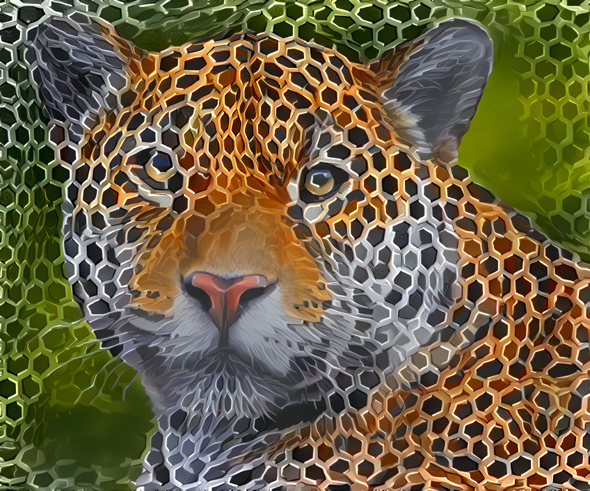 Jaguar Illusion