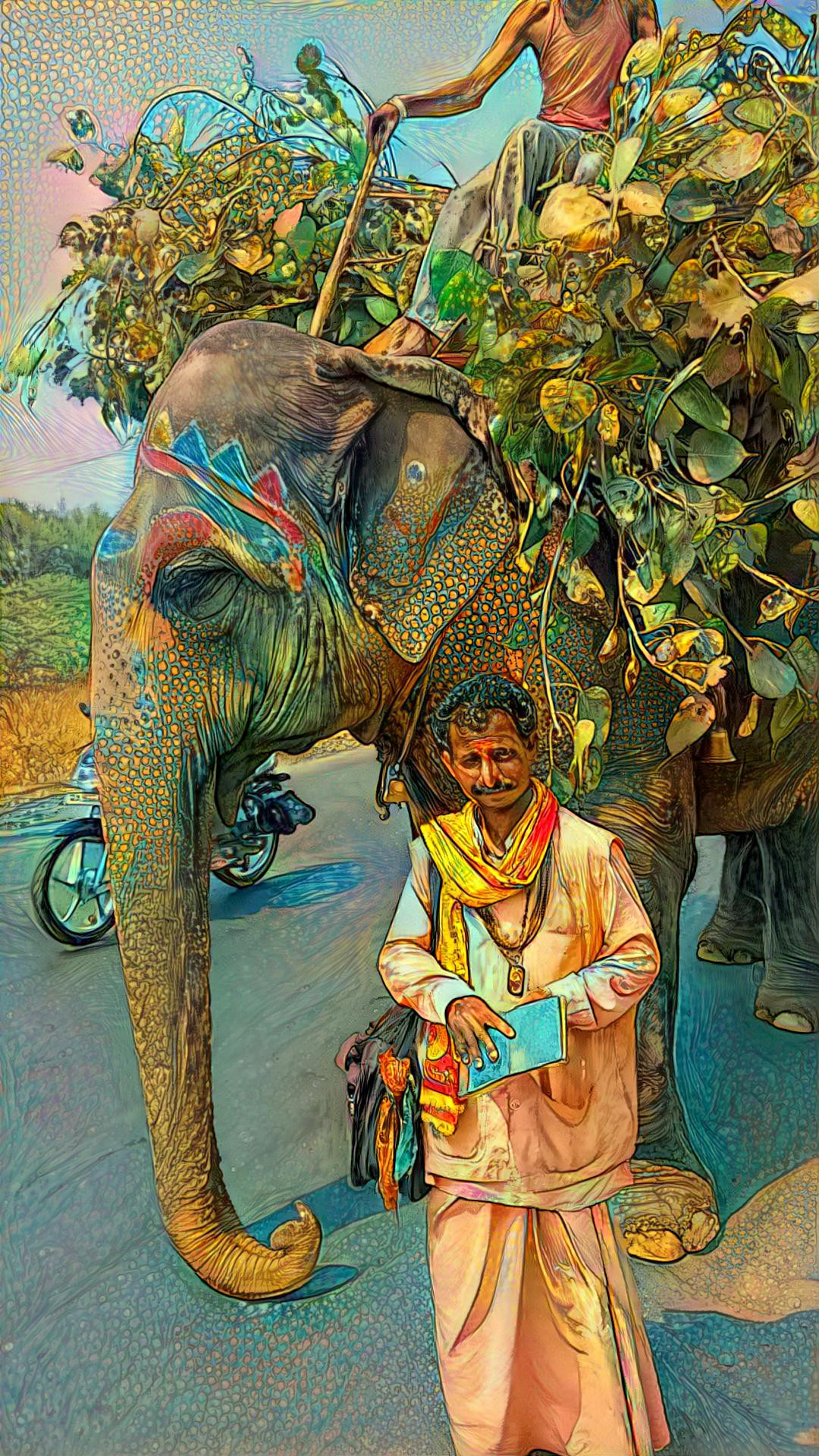 Elephant ride, 20 rupees. Ahmednager India