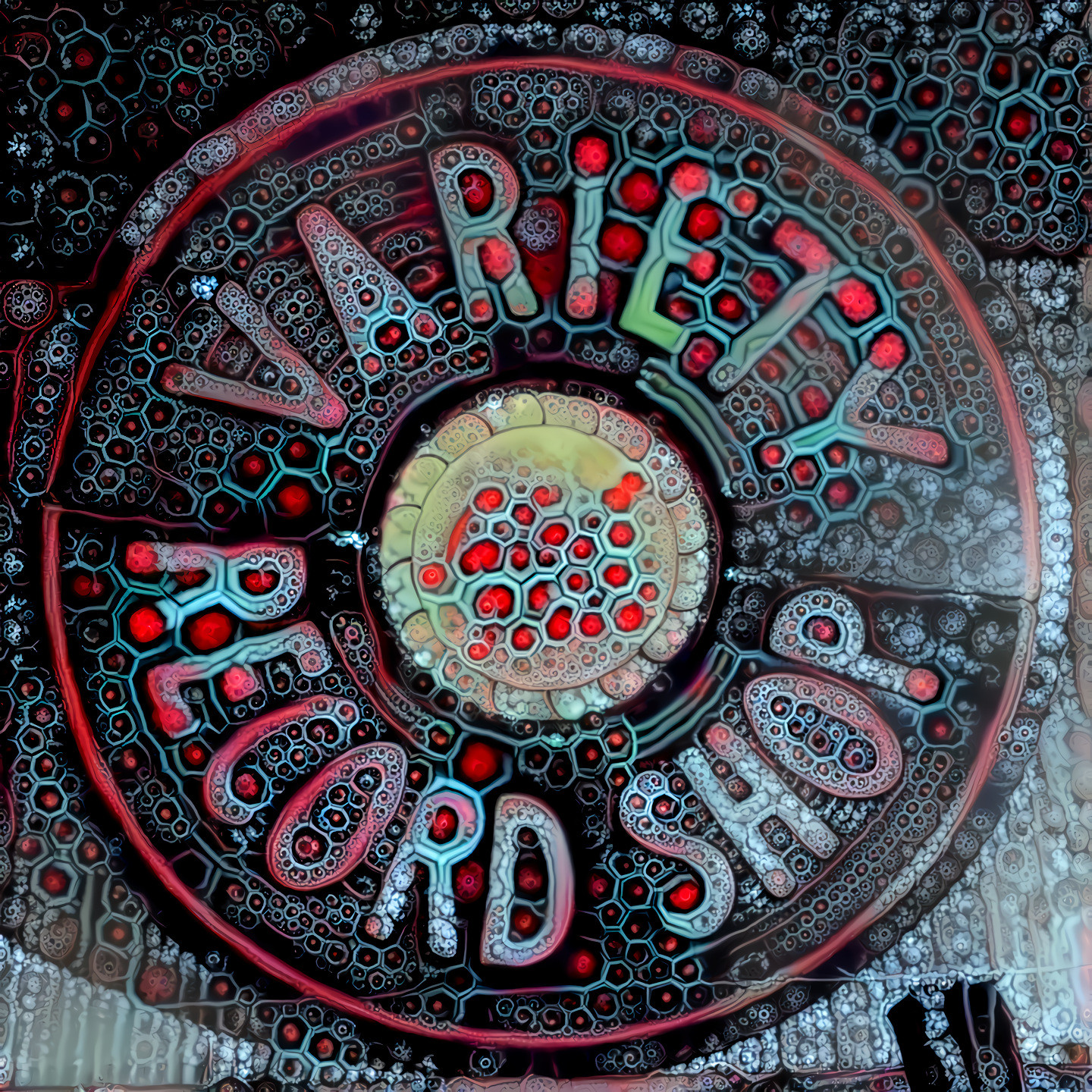 Deep Dream inspired by Rick Clark photo of Variety Records Shop sign, Columbia, TN (2016)