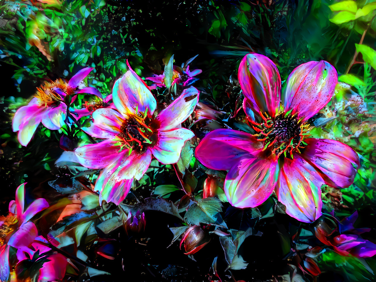 remembering late-summer dahlias: so pretty!
