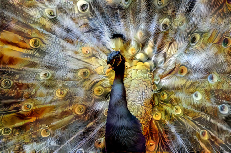 My beloved peacock Garudadeva