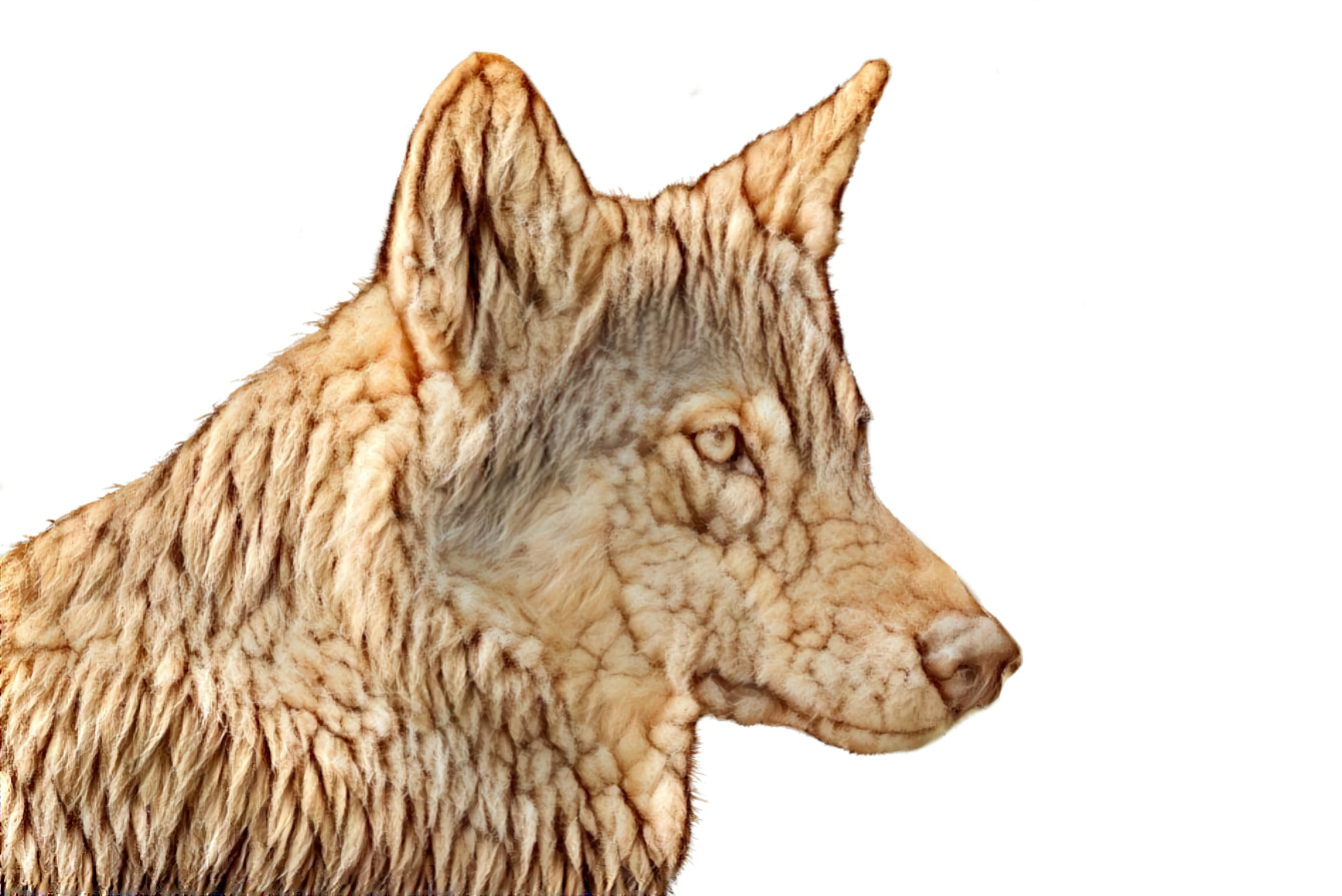 “Wolf in Sheep’s Clothing” - Idea by WereodynamicAirwolf