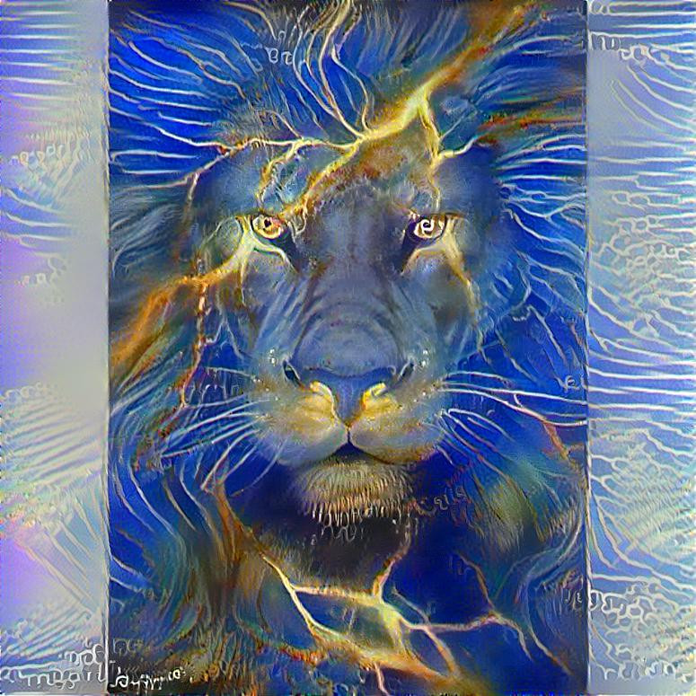 lion and jellyfish