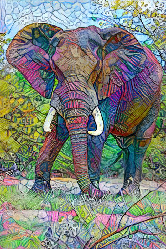 Elephant 5